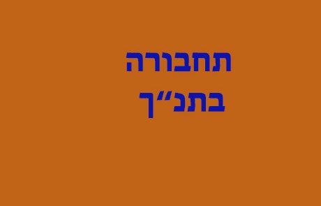 חיי היום יום בתקופת התנ"ך – תחבורה